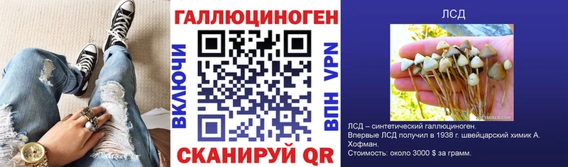 Псилоцибиновые грибы Cubensis Нововоронеж
