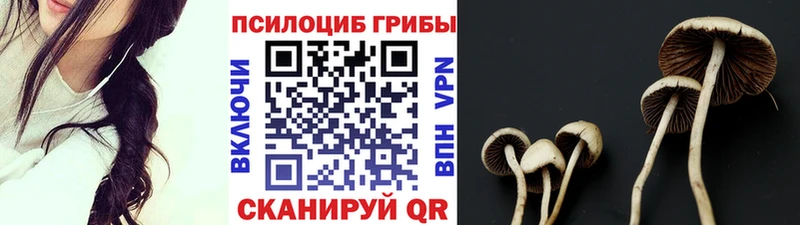 Псилоцибиновые грибы Psilocybine cubensis  цены   Нововоронеж 